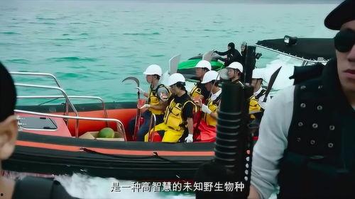 人类杀美人鱼图片大全,触目惊心的杀戮瞬间