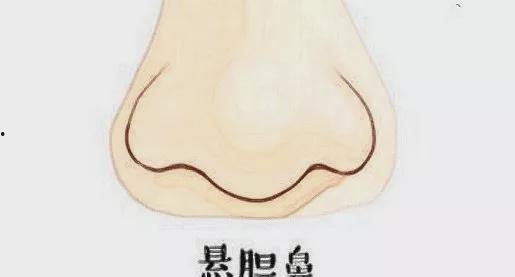 悬胆鼻图片,揭秘面部美学新焦点