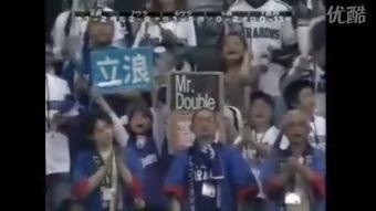 日本.torrent,探寻神秘文件背后的故事