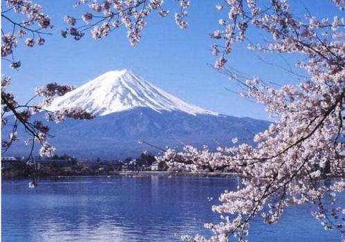 欧洲人对韩国人的看法,多元文化交融下的独特视角