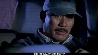 内线前传国语,揭秘潜伏岁月的惊心动魄