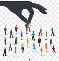 选择图片,选择图片中的视觉奇观