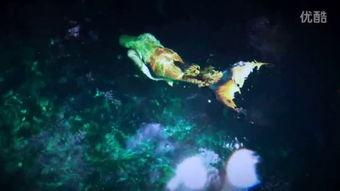 美人鱼游泳视频,梦幻泳姿惊艳亮相