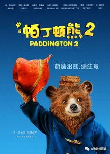 日本熊影片,揭秘神秘森林中的自然奇观