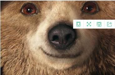 日本熊影片,揭秘神秘森林中的自然奇观