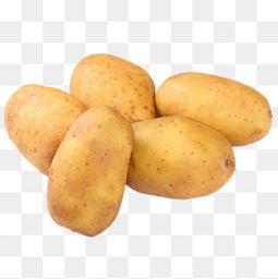 土豆图片大全,色彩斑斓的地下宝藏
