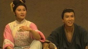 洪熙官甄子丹国语下载,激战江湖，英雄本色