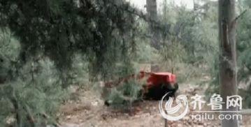 大阴户视频,探索神秘领域的真实面纱