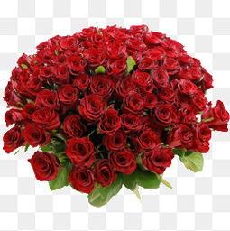 玫瑰花图片大全大图,千姿百态的玫瑰花图片大赏