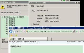 视频驱动程序,核心技术与应用解析