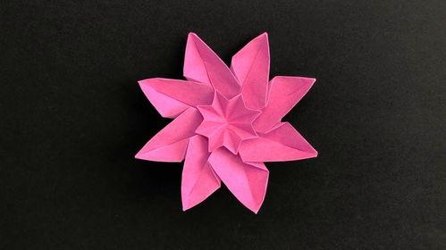 折纸花视频,跟随视频轻松制作精美花朵
