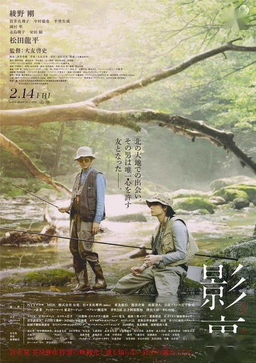 日本电影透光的树,探寻日本自然与心灵的交融