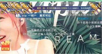韩国女主播内部vip视频,独家内容大揭秘