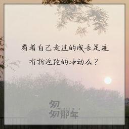 难忘的图片大全,那些难忘的瞬间
