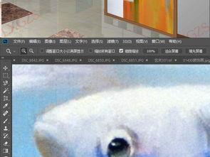 飞鱼图片大全大图,高清大图中的海洋精灵