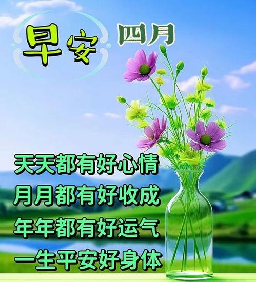 周一动态图片大全,动态图片大全精选集