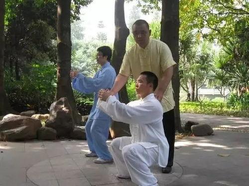 混元桩教学视频,揭秘传统武术核心功法修炼之道