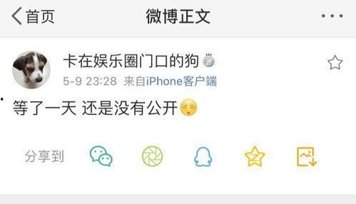 反差吃瓜爆料在线,揭秘娱乐圈幕后真相